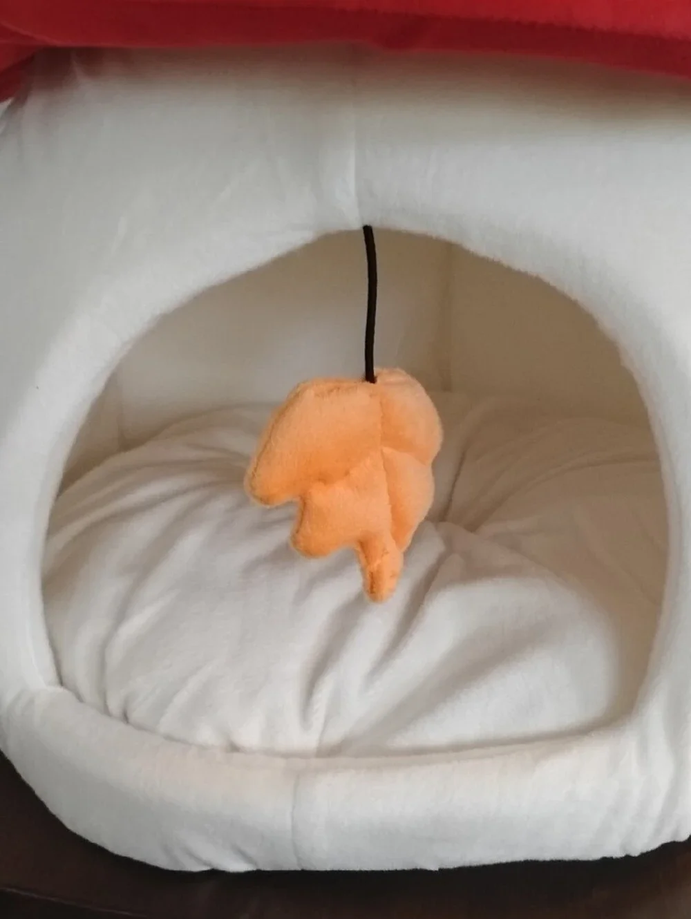 Heart To Tail cozy red